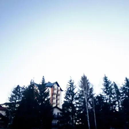 Ferienwohnung Nenad Jevtic Zlatibor Exterior foto