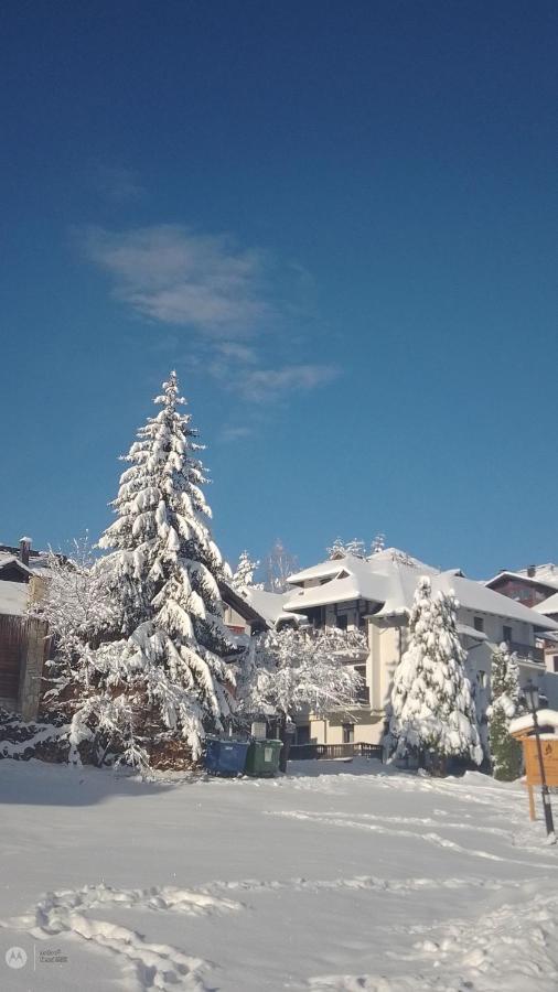 Nenad Jevtic Zlatibor